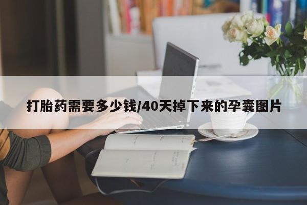 药流药联系方式打胎药需要多少钱/40天掉下来的孕囊图片